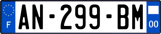 AN-299-BM