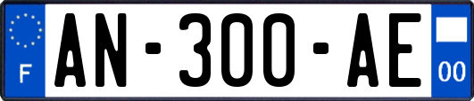 AN-300-AE