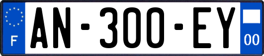 AN-300-EY