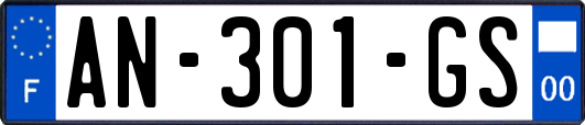 AN-301-GS