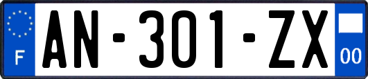 AN-301-ZX