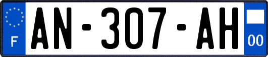 AN-307-AH