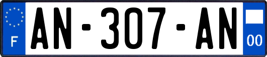 AN-307-AN