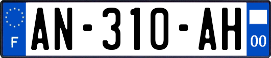 AN-310-AH