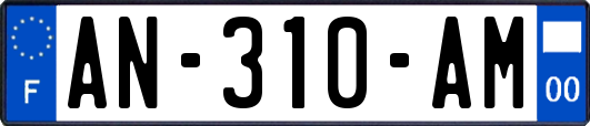 AN-310-AM