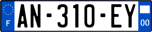 AN-310-EY