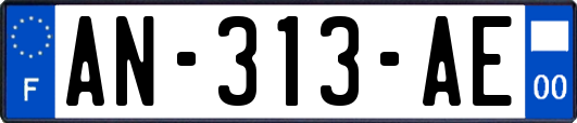 AN-313-AE