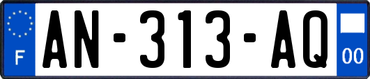 AN-313-AQ