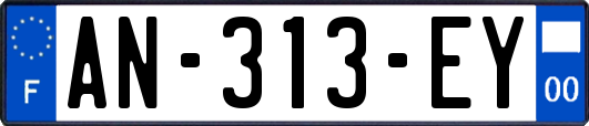 AN-313-EY