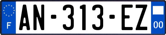 AN-313-EZ