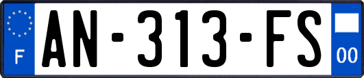 AN-313-FS