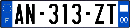 AN-313-ZT