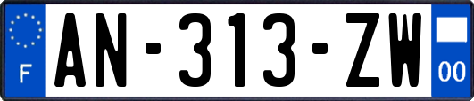 AN-313-ZW