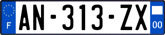 AN-313-ZX