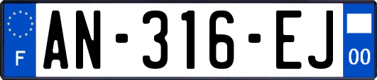 AN-316-EJ