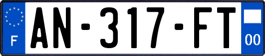 AN-317-FT