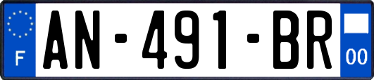AN-491-BR