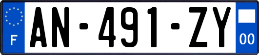 AN-491-ZY