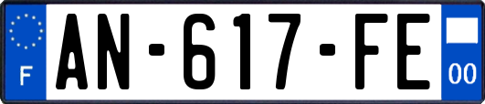 AN-617-FE