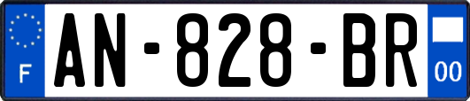 AN-828-BR