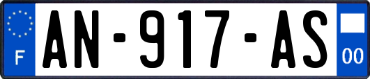 AN-917-AS
