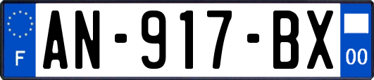AN-917-BX
