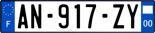 AN-917-ZY