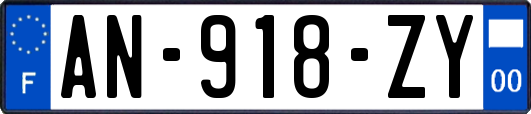 AN-918-ZY