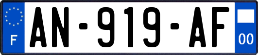 AN-919-AF