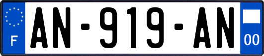 AN-919-AN