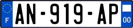 AN-919-AP