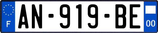 AN-919-BE