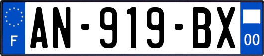 AN-919-BX