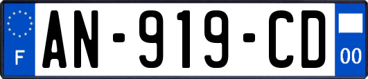 AN-919-CD