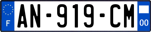 AN-919-CM