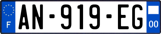 AN-919-EG