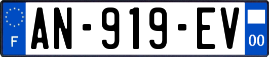 AN-919-EV