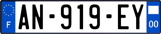 AN-919-EY