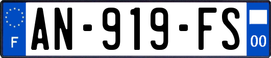 AN-919-FS