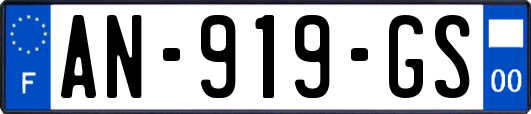 AN-919-GS