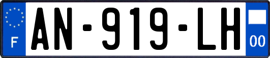 AN-919-LH