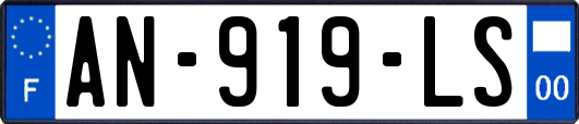 AN-919-LS