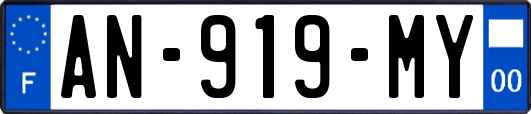 AN-919-MY