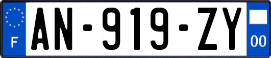 AN-919-ZY