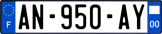 AN-950-AY