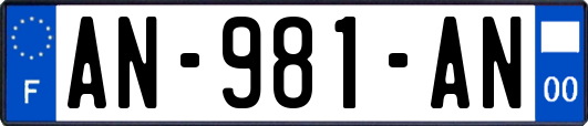 AN-981-AN