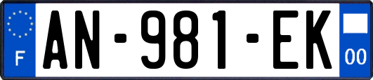 AN-981-EK