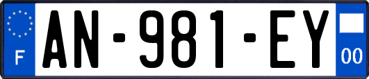 AN-981-EY