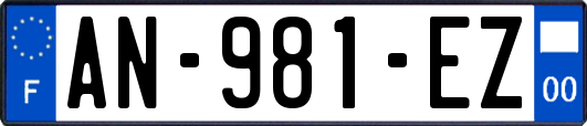 AN-981-EZ