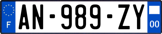 AN-989-ZY